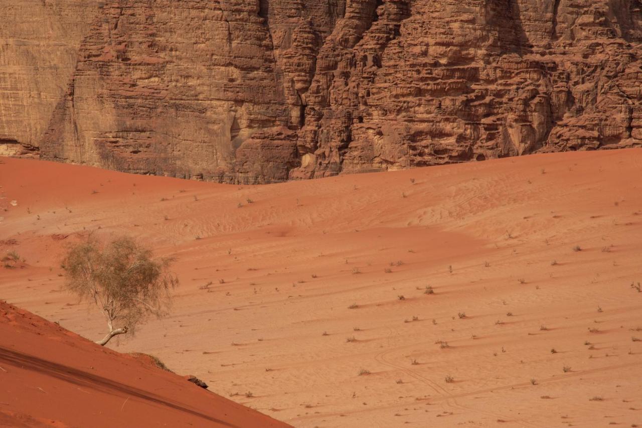 Wadi Rum Bright Moon Exterior foto